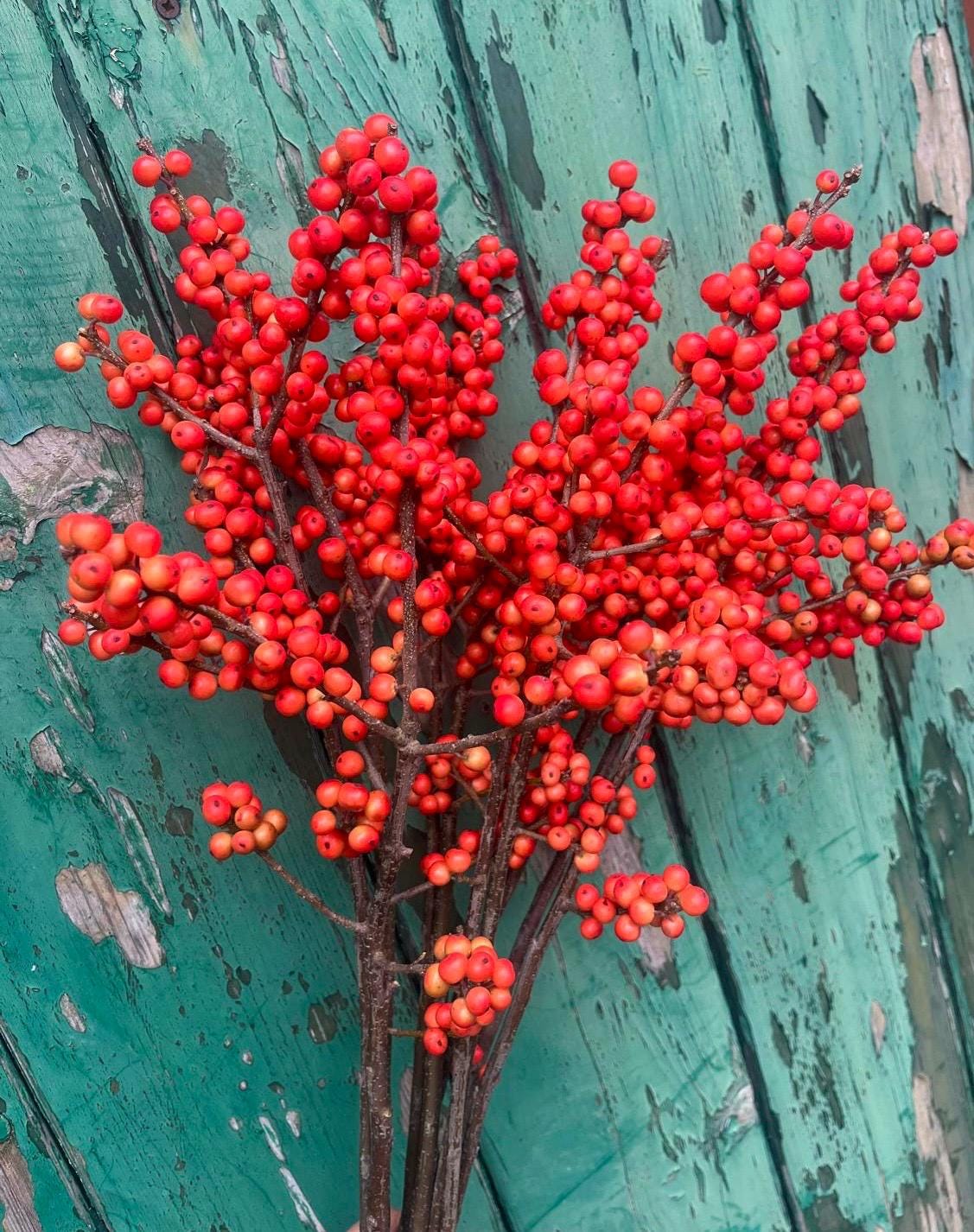 künstlicher weihnachtsbaum stinkt nach keller Salcar Premium Künstlicher Weihnachtsbaum aus 100 % PE Spritzguss – –  sekeymall main image 0