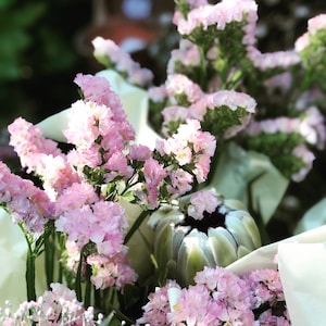 Könnte beinhalten: Ein Strauß rosa Statice-Blumen mit einer grünen Protea-Blume in der Mitte.