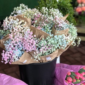 Original VIP Rainbow Gypsophila ~ 1 BUNCH ~ floral decoration ~Flowers