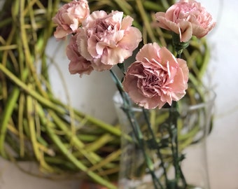 Vintage Edellnelken 10 Stk.~ alt rosa  ~ Frische Blumendeko