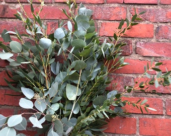 Eukalyptus Mix - 1 schönes Bund aus verschiedenen Eukalyptus Sorten gemischt ~ Duftige Schnittblumen ~ Frisch