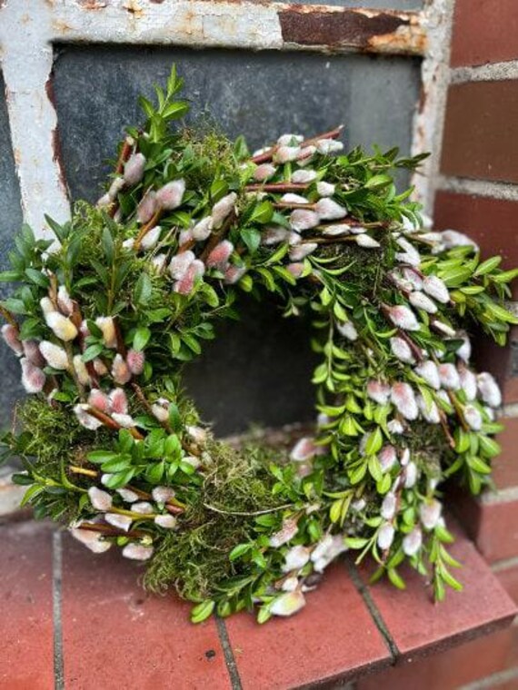 Frühlingskranz~ Moos- Buxuskranz mit Kätzchen ca 28cm ~ zauberhafte Frühlingsdeko ~ Türkranz