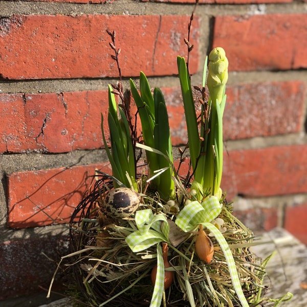 Mooskugel Narzisse ~ cremig duftig ~Landhausstyle..Frühlingsdeko~ Frühling