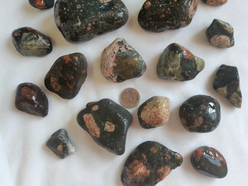 of Gowganda Tillite 4 lbs Rocks & Geodes Paper, Party & Kids