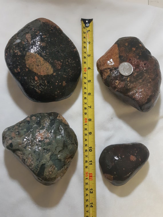 of Gowganda Tillite 4 lbs Rocks & Geodes Paper, Party & Kids