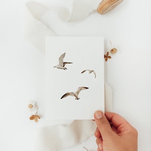 Postkarte Möwen - A6 / Postkarte zum Geburtstag, Postkarte Nordsee, Geburtstagskarte, Geschenk für Freunde, Meer, Karte Fernweh