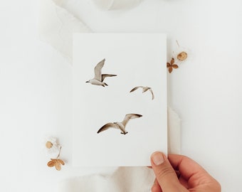 Postkarte Möwen - A6 / Postkarte zum Geburtstag, Postkarte Nordsee, Geburtstagskarte, Geschenk für Freunde, Meer, Karte Fernweh