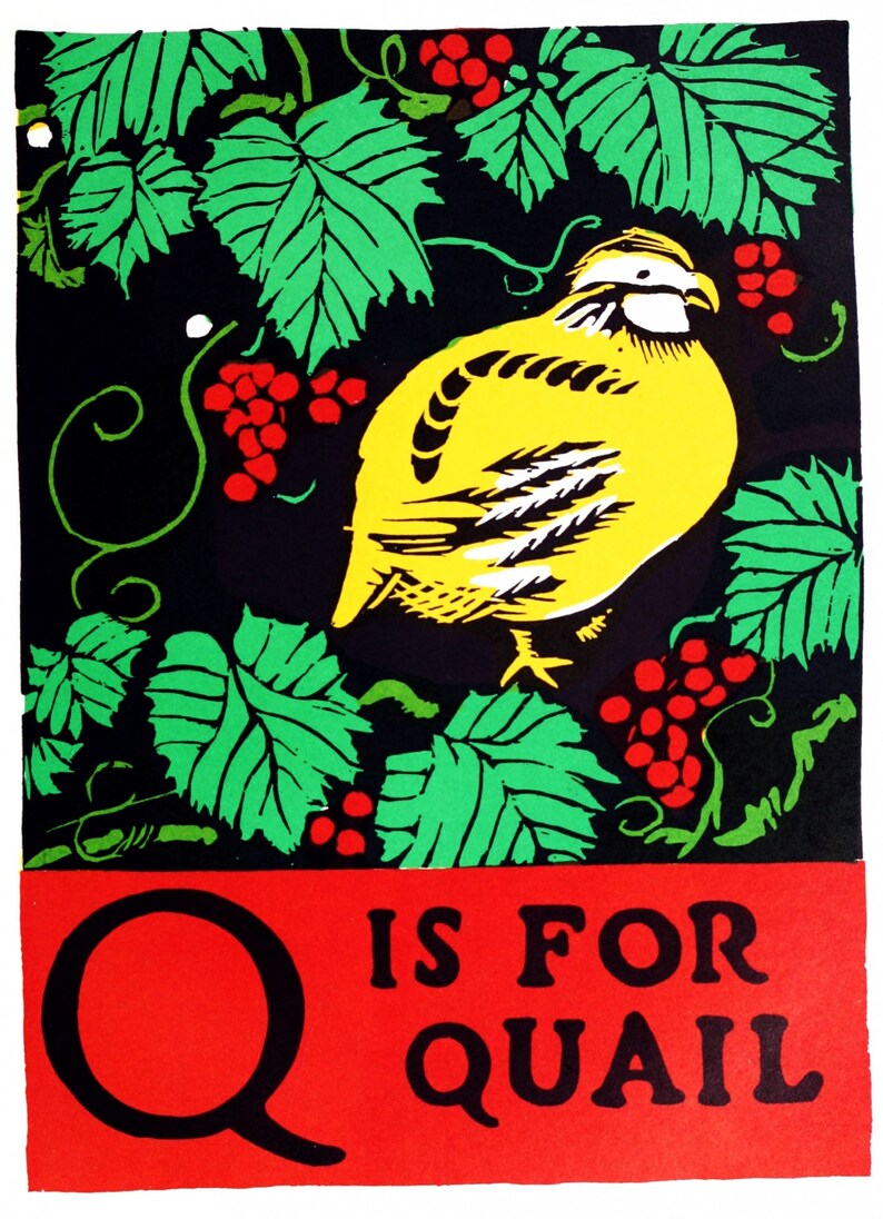 K&ouml;nnte beinhalten: Ein Vintage-Alphabetdruck mit dem Buchstaben Q in Rot mit schwarzem Umriss. Der Buchstabe ist von einem schwarzen Hintergrund umgeben, auf dem ein gelber Wachtelvogel auf einem gr&uuml;nen Weinstock mit roten Beeren sitzt. Der Text "Q is for Quail" ist in Schwarz auf rotem Hintergrund gedruckt.