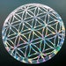 see more listings in the Flower of Life section