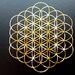 see more listings in the Flower of Life section