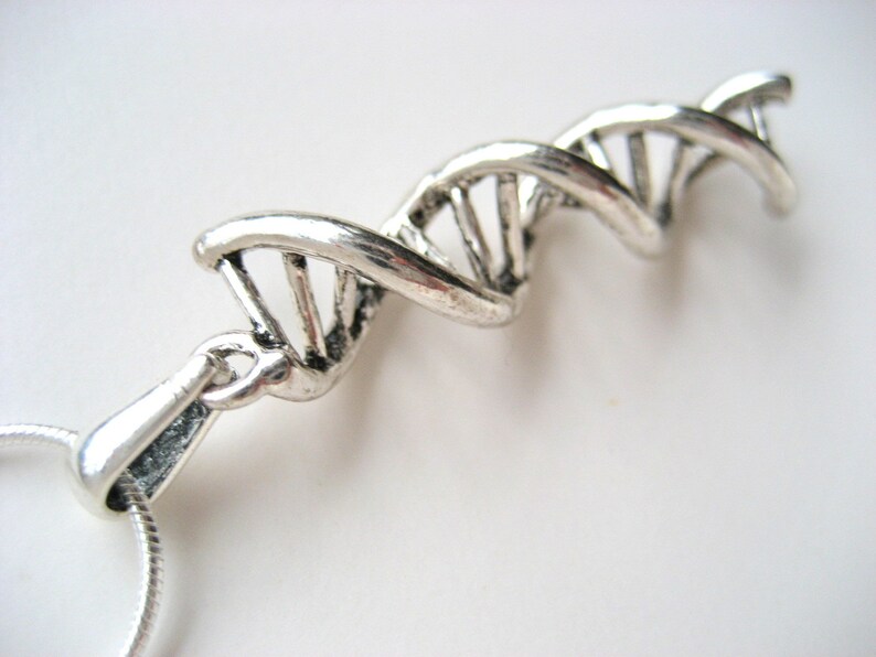 DNA sulla catena del serpente immagine 5