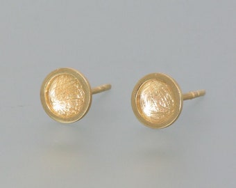 Earrings Gold Shell