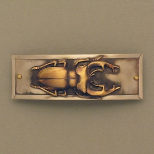 Hair clip stag beetle image 1