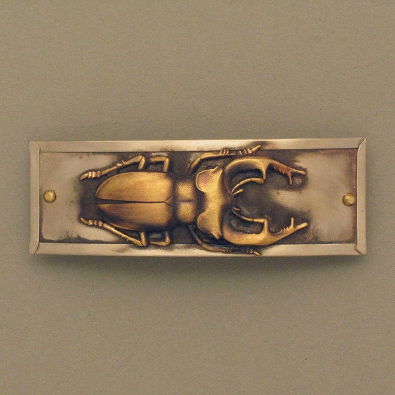 Hair clip stag beetle image 1