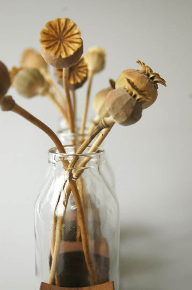 Milk jug made of nut, vase, flower vase, wood image 2