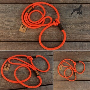 Retrieverleine ORANGE Tauleine Moxonleine Jagdleine