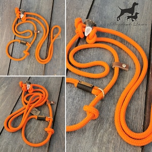 Jagdleine Tauleine ORANGE Hundeleine Moxonleine Retrieverleine HUNTER