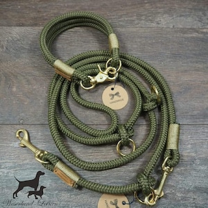 Dog leash + collar in the set Tauleeine OLIV