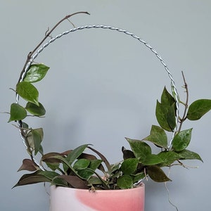 Set of 3, (9in dia x 14in) large round trellis for indoor house plants, hoyas, pothos, monsteras, climbing plants, plant support,m image 3