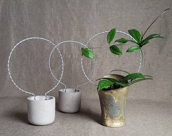 Set of 3, (10.25in H x 7in dia) medium trellis for indoor house plants, hoyas, vining plants, plant support, sturdy hoop trellises
