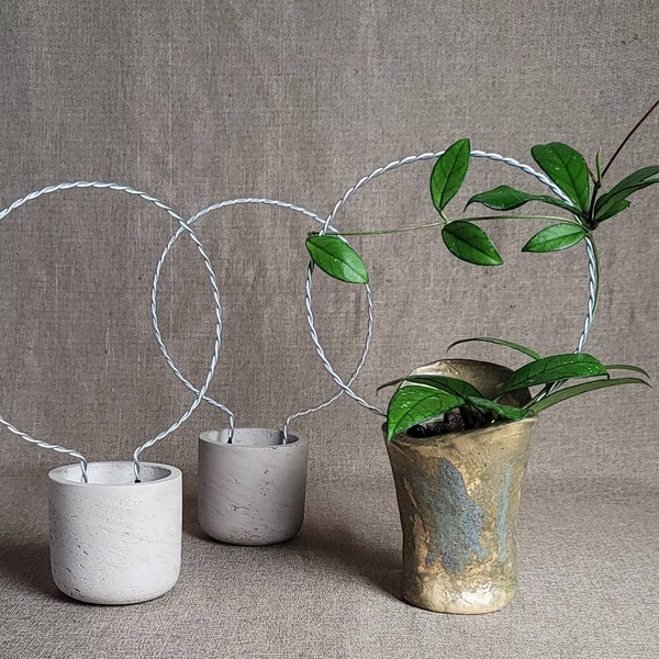 Set of 3, (10.25" H x 7" dia) medium trellis for indoor house plants, hoyas, vining plants, plant support, sturdy hoop trellises