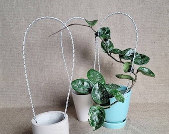 Set of 3, 12in U-shape medium trellis for indoor house plants, hoyas, pothos, monsteras, climbing plants, plant support, arch trellises