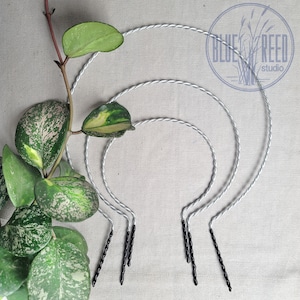 Set of 3, round trellises for indoor house plants, hoyas, vining plants, plant support, sturdy hoop trellises