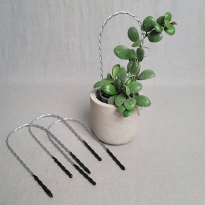 May include: A small succulent plant in a concrete pot with a silver wire hanger. The plant has green leaves and is hanging from the wire. There are five black wire plant stakes on the white surface.