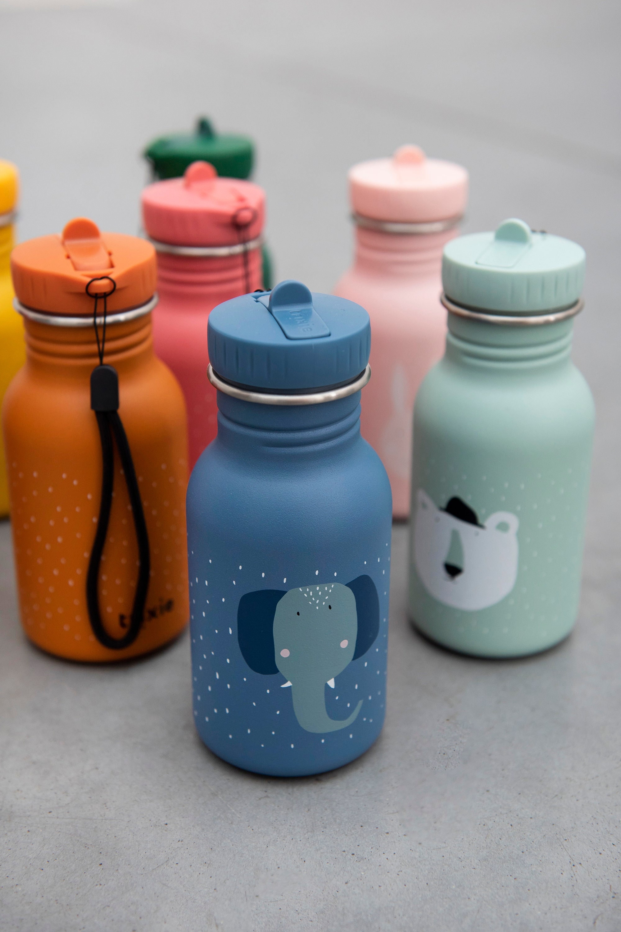 Trixie clearance water bottle