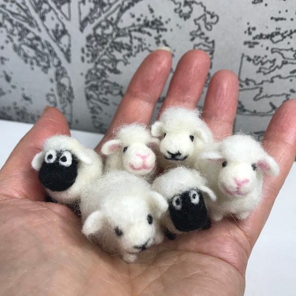 Needle felted miniature sheep, miniature lamb, Gift, Wool