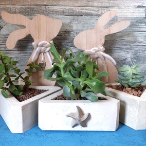 Triangle concrete planter