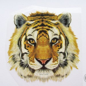 Könnte beinhalten: Nahaufnahme eines Tigergesichts, realistisch dargestellt mit detailliertem Fell und Streifen. Die Augen des Tigers sind offen und fokussiert, der Mund ist geschlossen. Der Hintergrund ist einfarbig weiß.