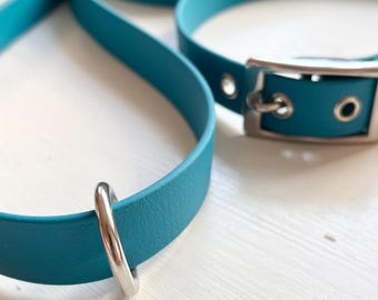 May include: A teal pet collar and matching leash set featuring smooth, flexible material with silver-toned metal hardware. The collar includes a rectangular buckle with eyelets, while the leash features a circular ring and a swivel snap hook.