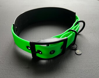 May include: A bright neon green collar featuring a black buckle, black metal hardware, and a black D-ring. A small circular black tag with a gold-colored dog head icon and the text "MOLODOG" is attached to the collar near the buckle mechanism.