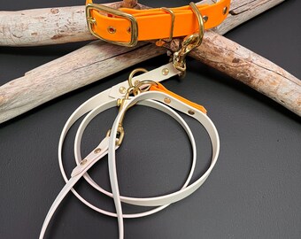 May include: A bright orange and white dog collar and matching leash set featuring gold-toned metal hardware, including a buckle, D-ring, and swivel snap hooks. The collar has an orange exterior and white interior, while the leash is white.
