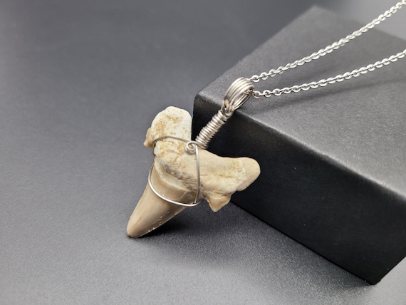 Otodus Obliquus Shark Tooth Fossil Necklace in Stainless Steel, Shellie V Jewelry