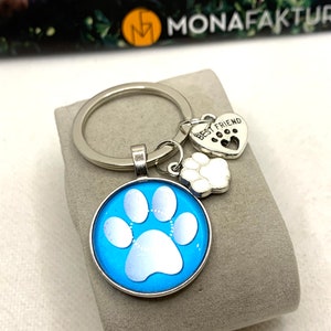 Keychain paw stainless steel, with paw/paws glass cabochon, light blue-white, and various small pendants,