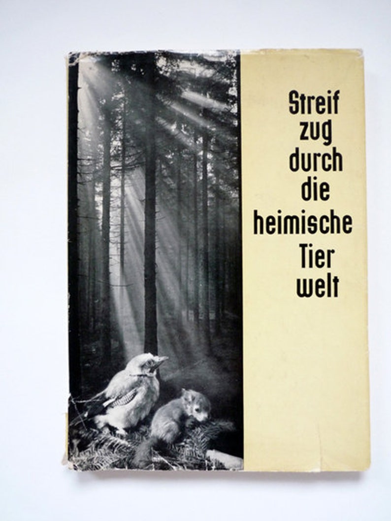 Streifzug durch die heimische Tierwelt, 1965 DDR Bild 1