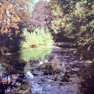 Streifzug durch die heimische Tierwelt, 1965 DDR Bild 2