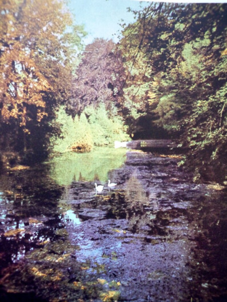 Streifzug durch die heimische Tierwelt, 1965 DDR Bild 2