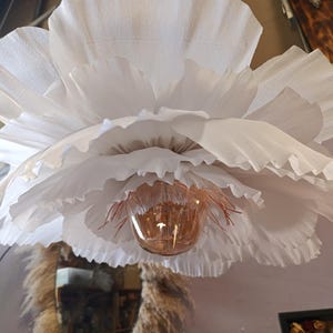 flower suspension