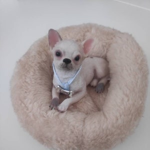 silicone chihuahua