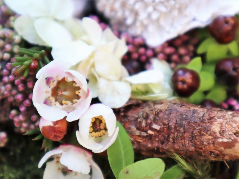 Moostorte frisch mit Blüten Grün und Beeren dekoriert immagine 9