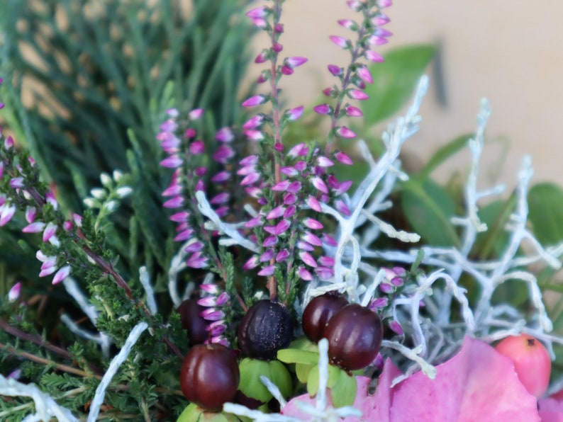 Moostorte frisch mit Blüten Grün und Beeren dekoriert immagine 10