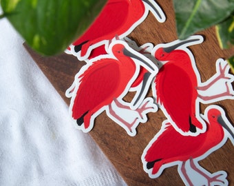 Scarlet Ibis sticker
