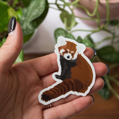 Red Panda Phone Case Cute Animals Cover for Iphone 7 8 11 Etsy