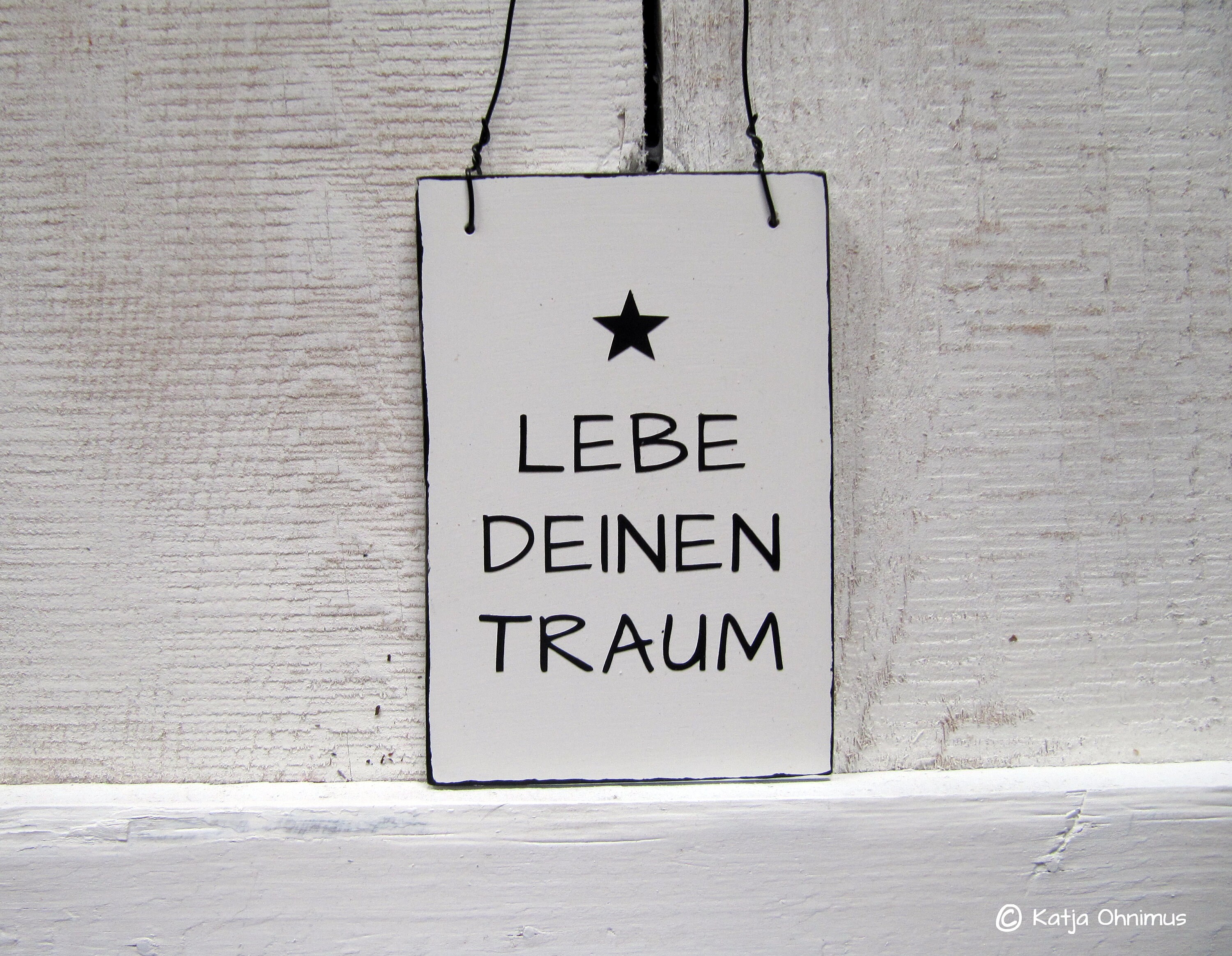 Lebe deinen Traum Schild Holzdeko Holzschild Geschenk Stern Etsy