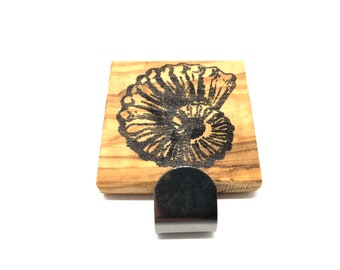 Towel holder PIA with motif "SHELL" made of olive wood and stainless steel