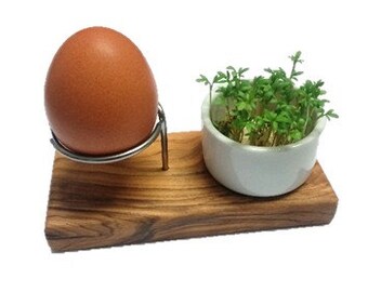 Egg holder DESIGN PLUS made of olive wood