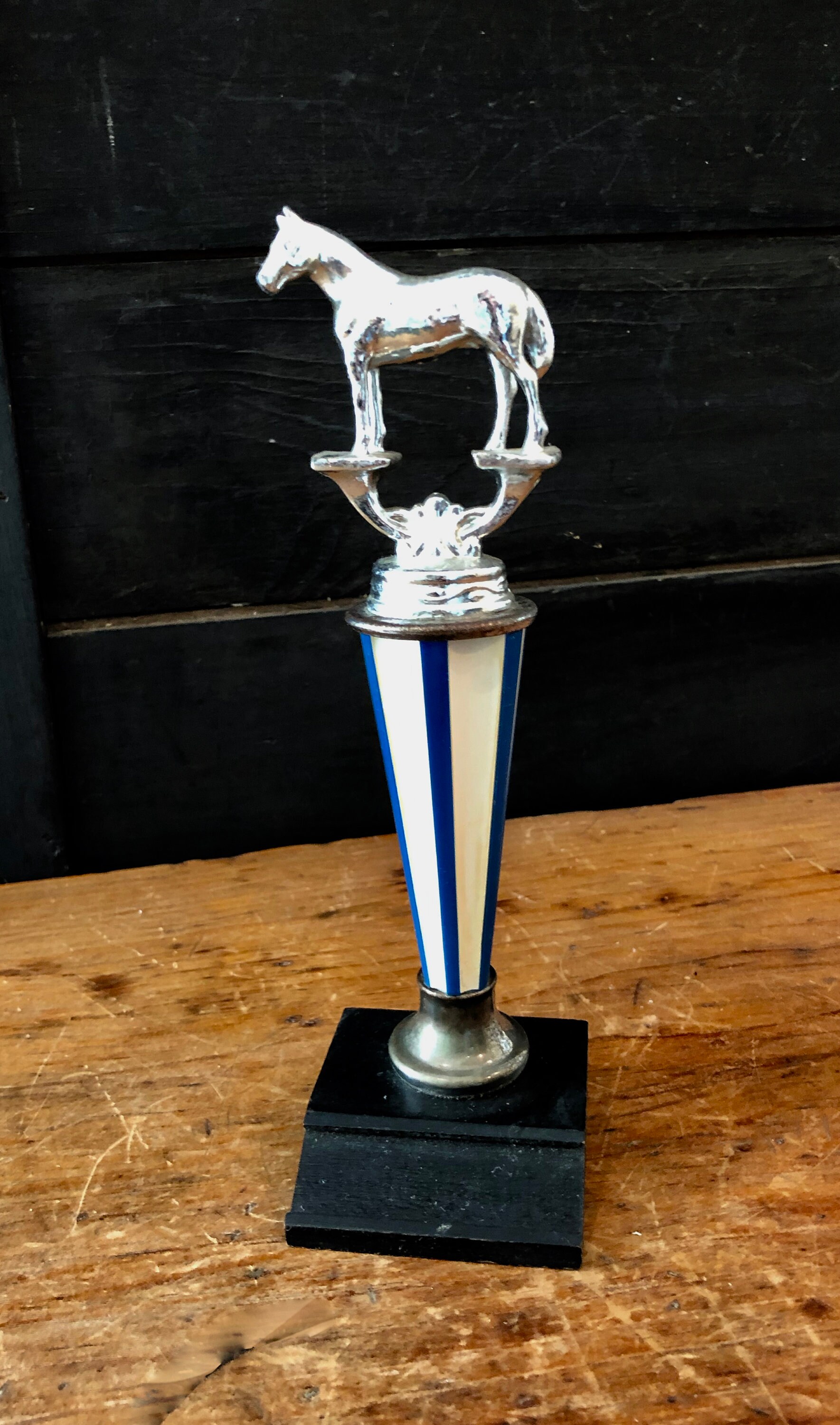 Horse Trophy Cup Equestrian Best in Show Horse Show Trophy Etsy